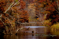 October Projects 2010-012
