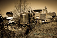 October Projects 2010-017