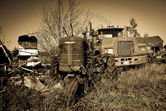 October Projects 2010-017