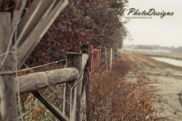 October Projects 2010-072