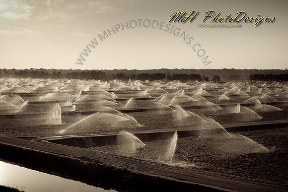 October Projects 2010-035