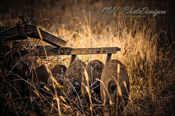 October Projects 2010-081