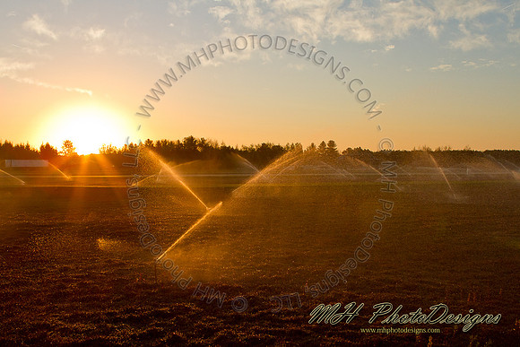 October Projects 2010-033