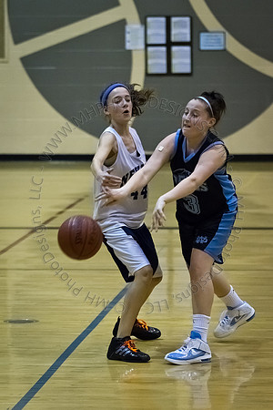 Nekoosa AMS Girls B-Ball 2012 (8th Grade)-009