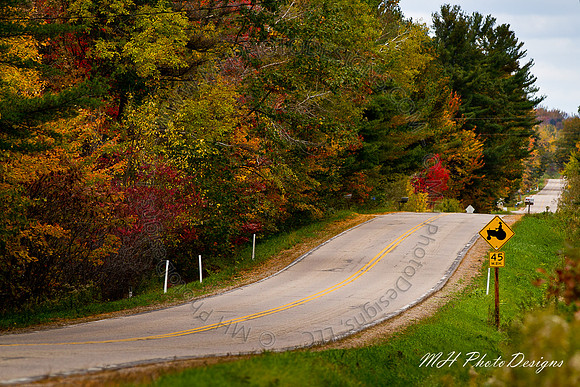 October Projects 2010-004
