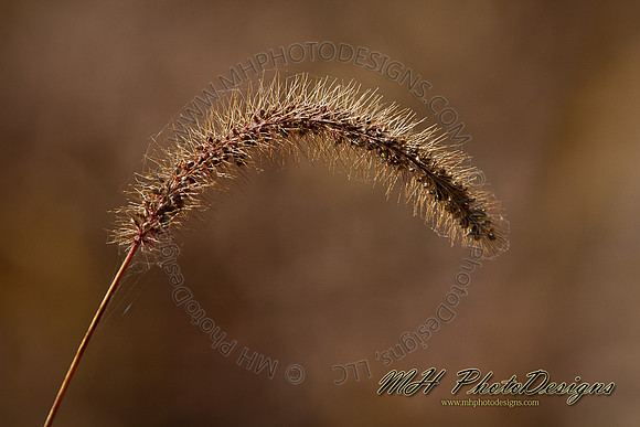 October Projects 2010-022