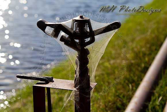October Projects 2010-038