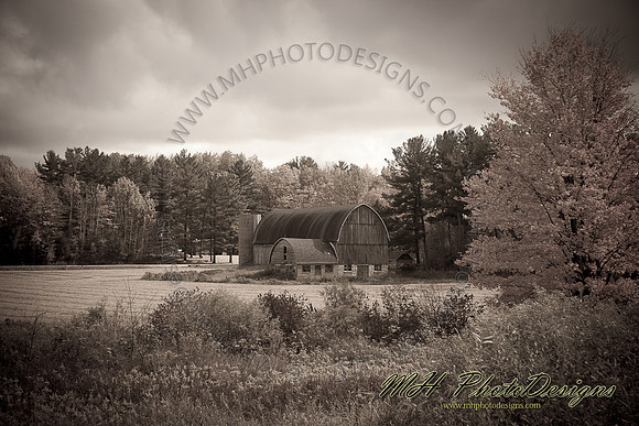 October Projects 2010-029