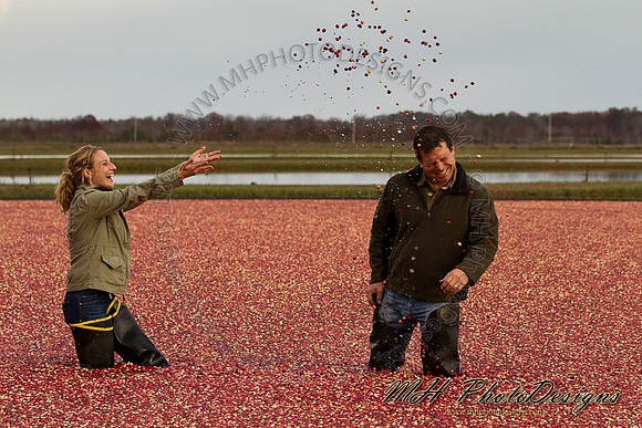 October Projects 2010-046