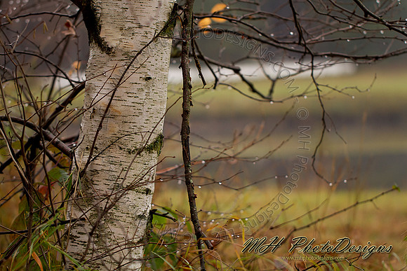 October Projects 2010-070