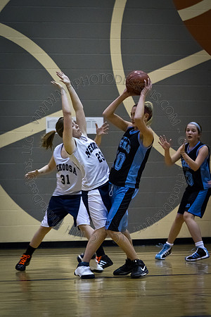 Nekoosa AMS Girls B-Ball 2011 (7th Grade)-004