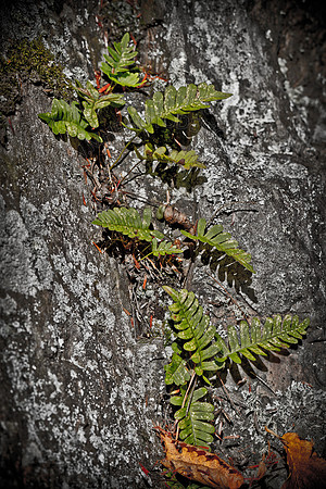 Signs of Fall 2011-007