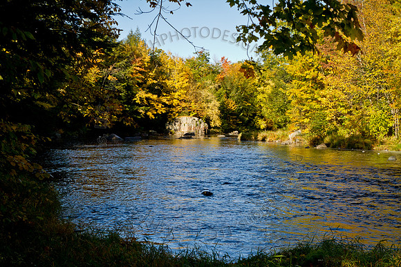 Signs of Fall 2011-011
