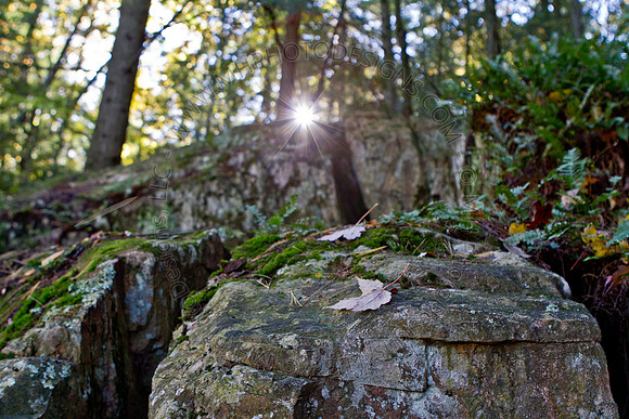 Signs of Fall 2011-014