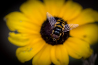 July Projects 2014-006