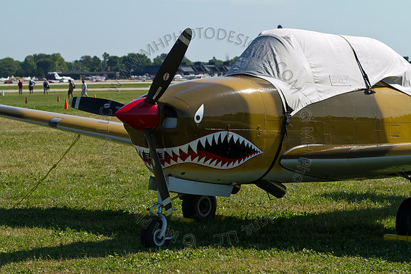 EAA AirVenture 2011-074