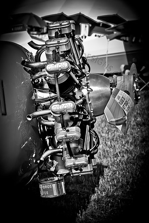 EAA AirVenture 2011-028