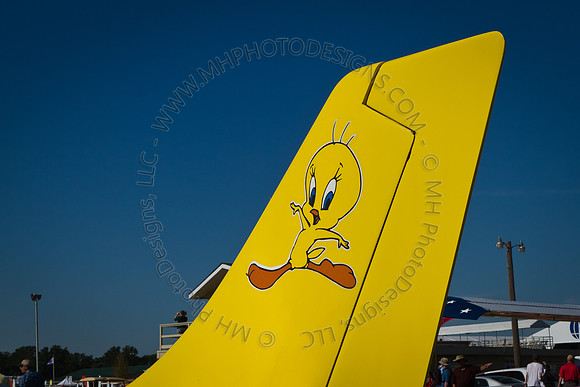 EAA AirVenture 2011-025