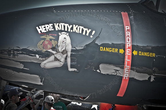 EAA AirVenture 2011-057