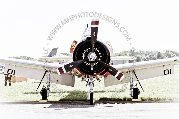 EAA AirVenture 2011-121