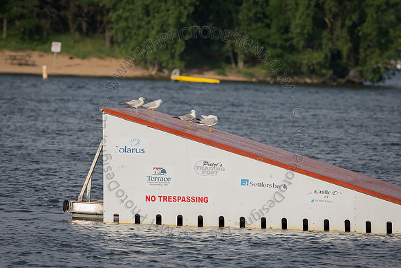 Shermalot June 2014-083