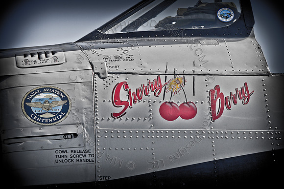 EAA AirVenture 2011-110