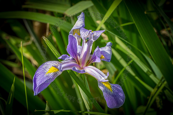 June Projects 2013-037