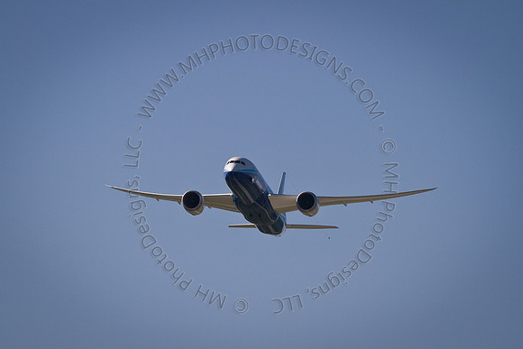 EAA AirVenture 2011-011