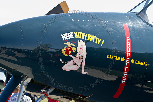 EAA AirVenture 2011-056