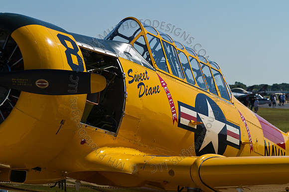 EAA AirVenture 2011-071