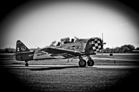 EAA AirVenture 2011-006