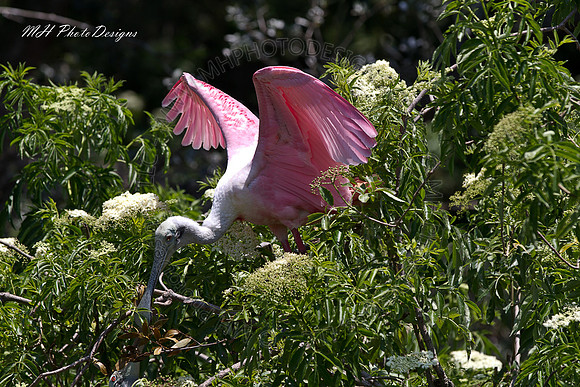 May Projects 2010-037