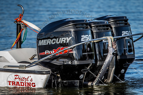 Shermalot July 2014-005