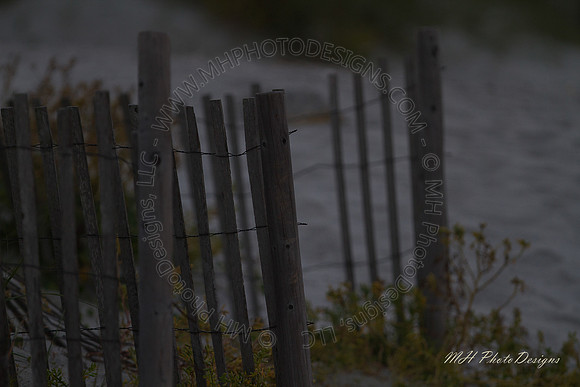 May Projects 2010-056