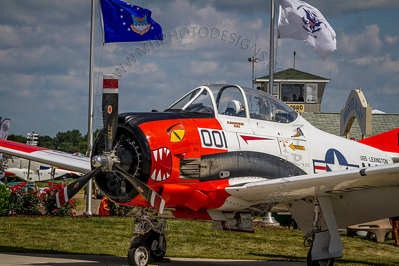 EAA AirVenture 2013-068