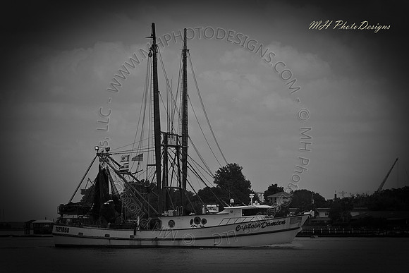 May Projects 2010-049