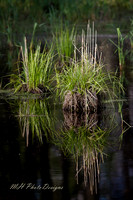 May Projects 2010-006