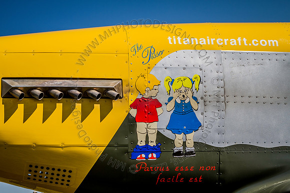 EAA AirVenture 2013-009