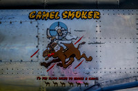 EAA AirVenture 2013-005