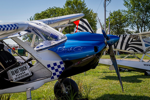 EAA AirVenture 2013-002