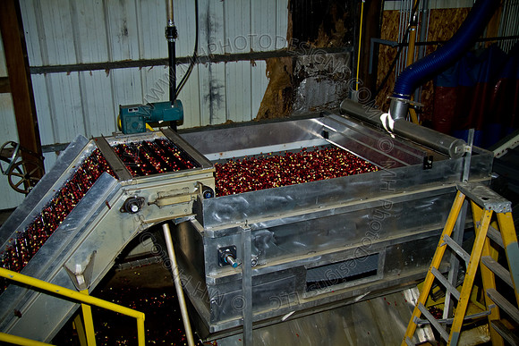 Cranberry Marsh 2010-151