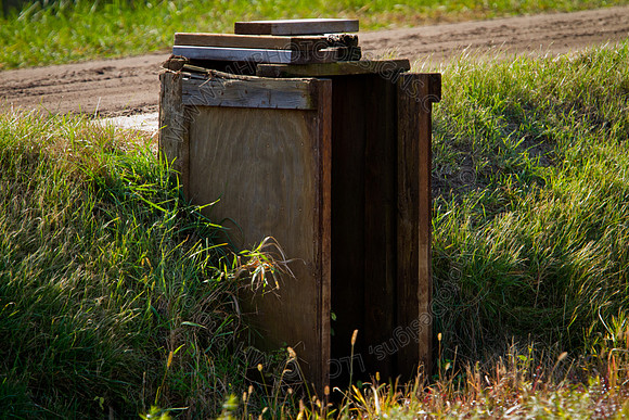 Cranberry Marsh 2010-064