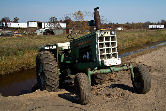 Cranberry Marsh 2010-107