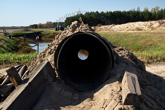 Cranberry Marsh 2010-106