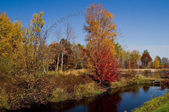 Cranberry Marsh 2010-086
