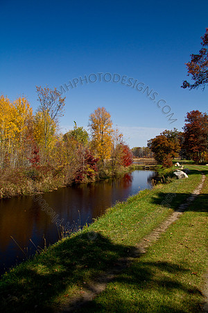 Cranberry Marsh 2010-081