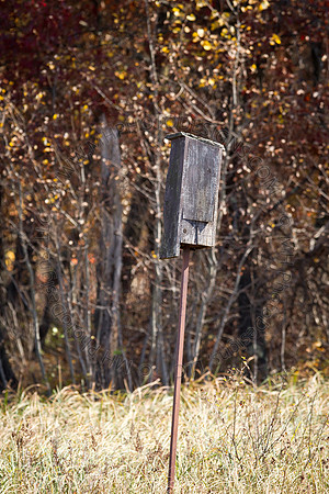Cranberry Marsh 2010-038