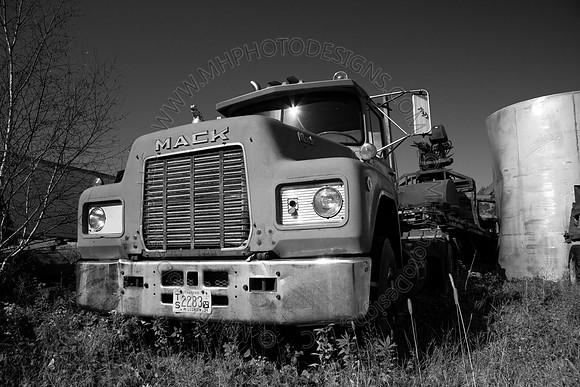 Cranberry Marsh 2010-092