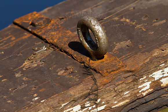 Cranberry Marsh 2010-049