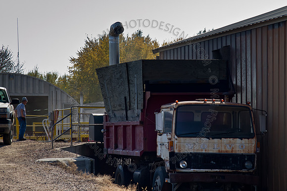 Cranberry Marsh 2010-108